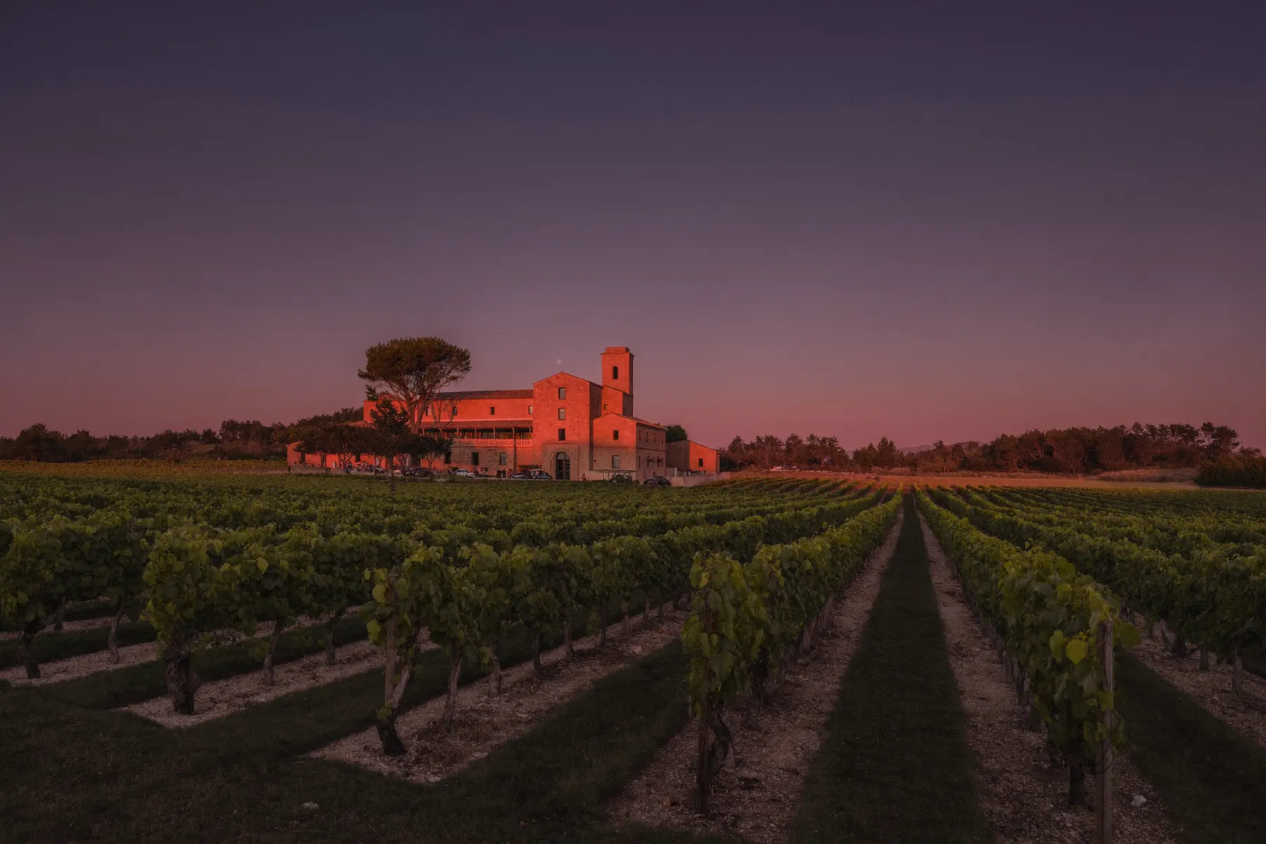 Vignoble bordelais au crépuscule doré menant à un élégant bâtiment de spa en pierre