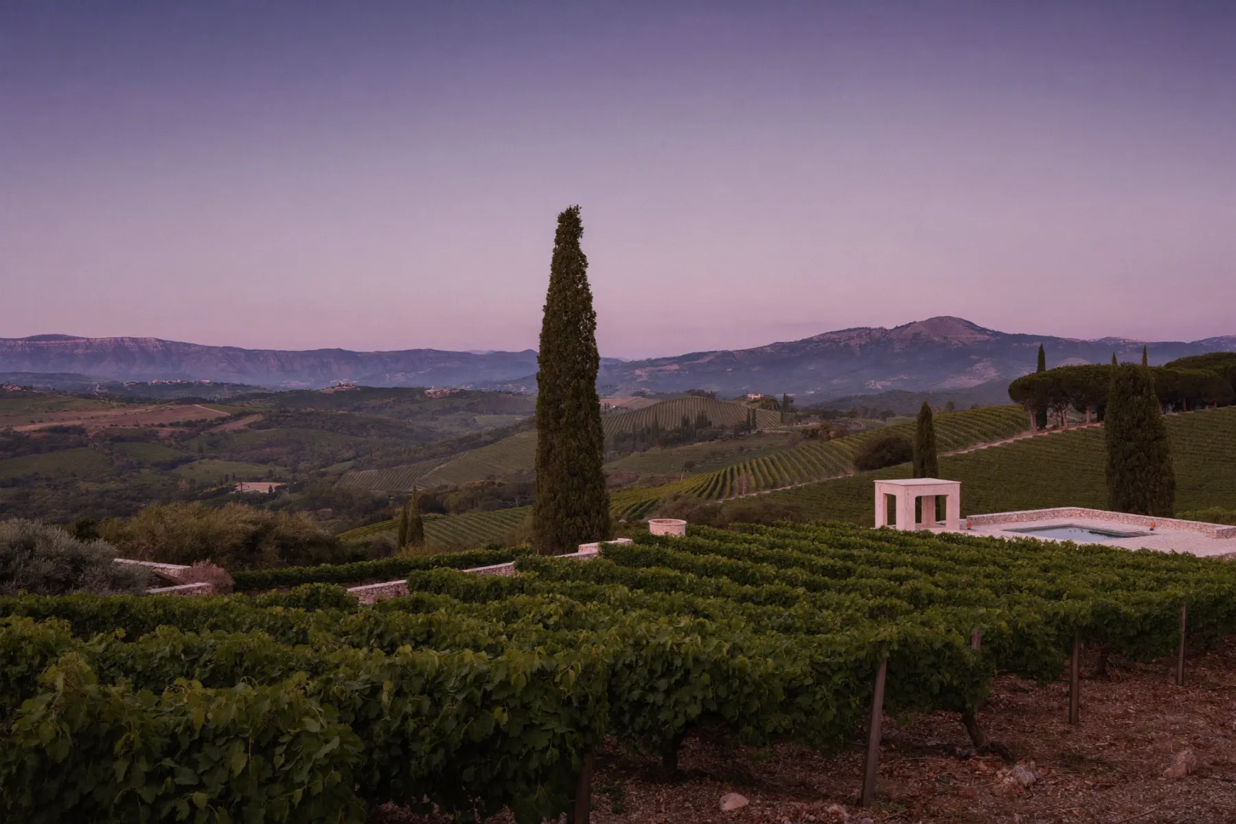 Paysage de vignoble provençal avec cyprès et terrasse de spa en pierre
